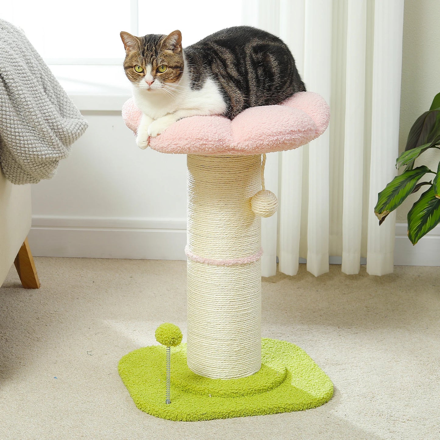 PEQULTICN Flower Cat Scratching Post Indoor Cat Tree