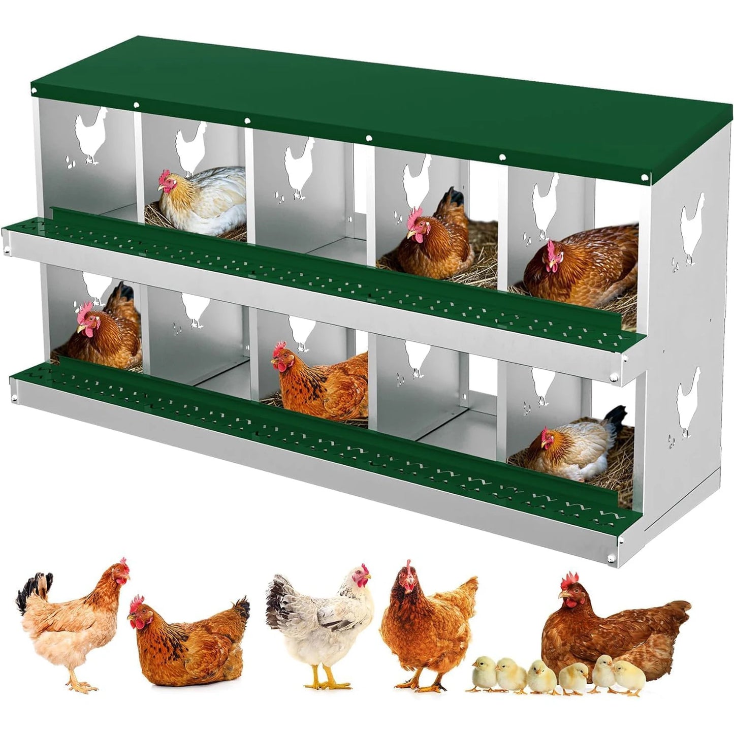 HiMISS Heavy-Duty Galvanized Steel Chicken Nesting Box 10 Compartments