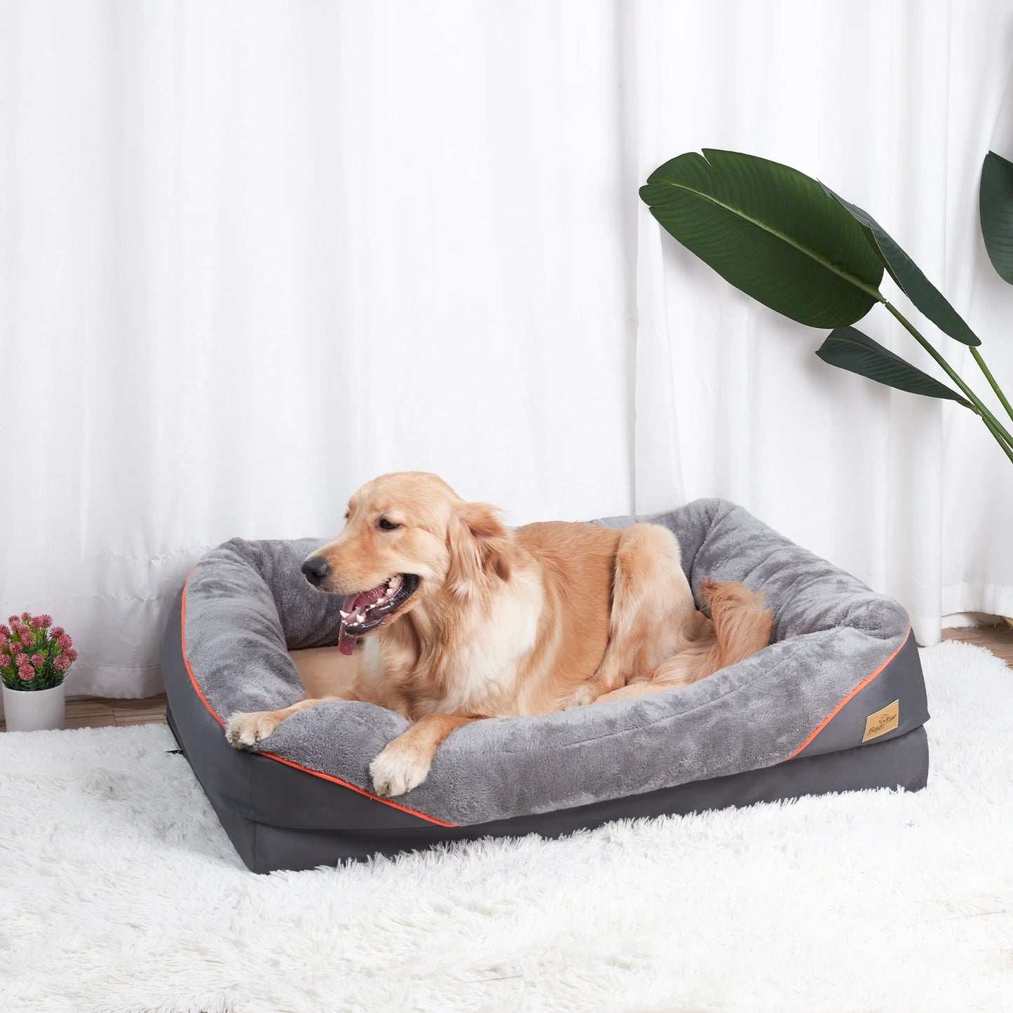 BINGOPAW Dog Bed Removable Washable Cover Anti Allergy Foam