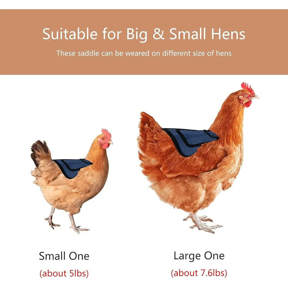 Three Piece Chicken Suit Set With Stretchy Straps Hen Protector
