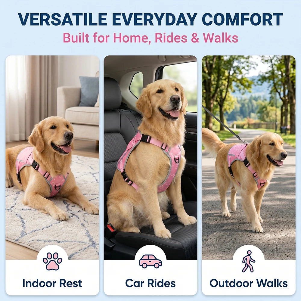 Lightweight Cooling Vest For Dogs With Replaceable Packs Outdoors