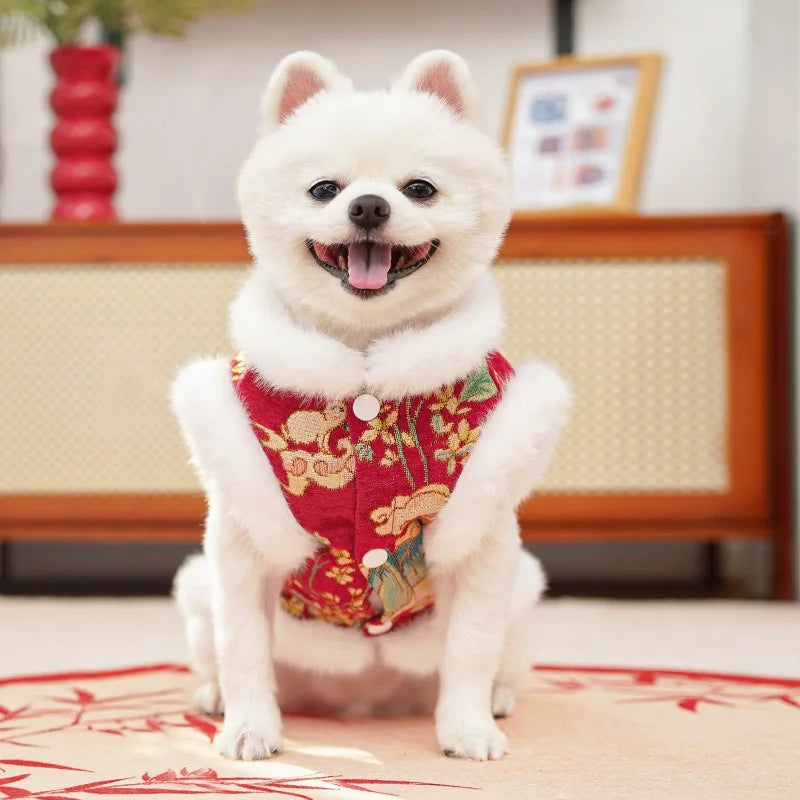 DKSTINYE Velvet Pet Vest For Cat And Dog Winter Wear