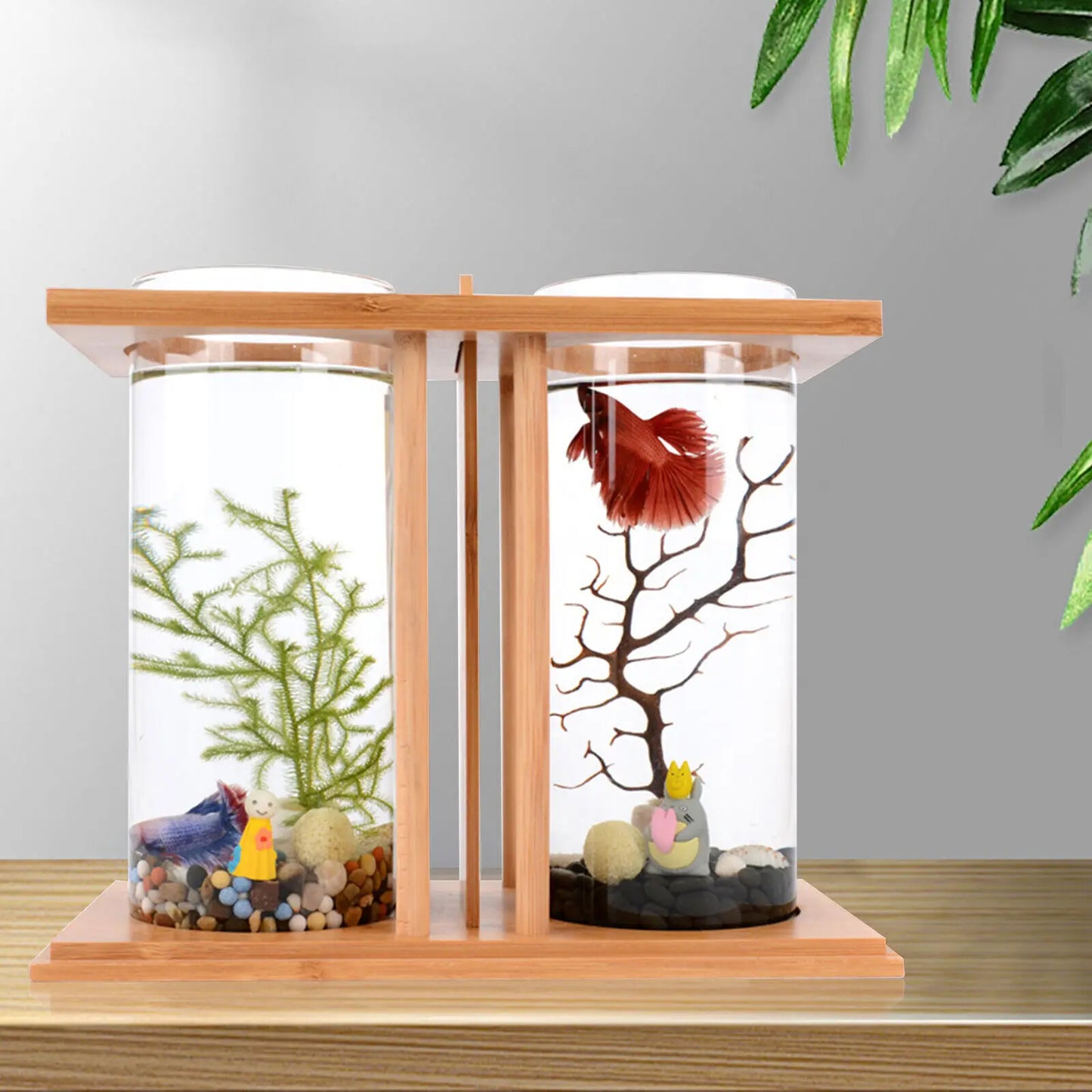 Hign-concerned Glass Betta Tank With Bamboo Base Desktop Aquarium