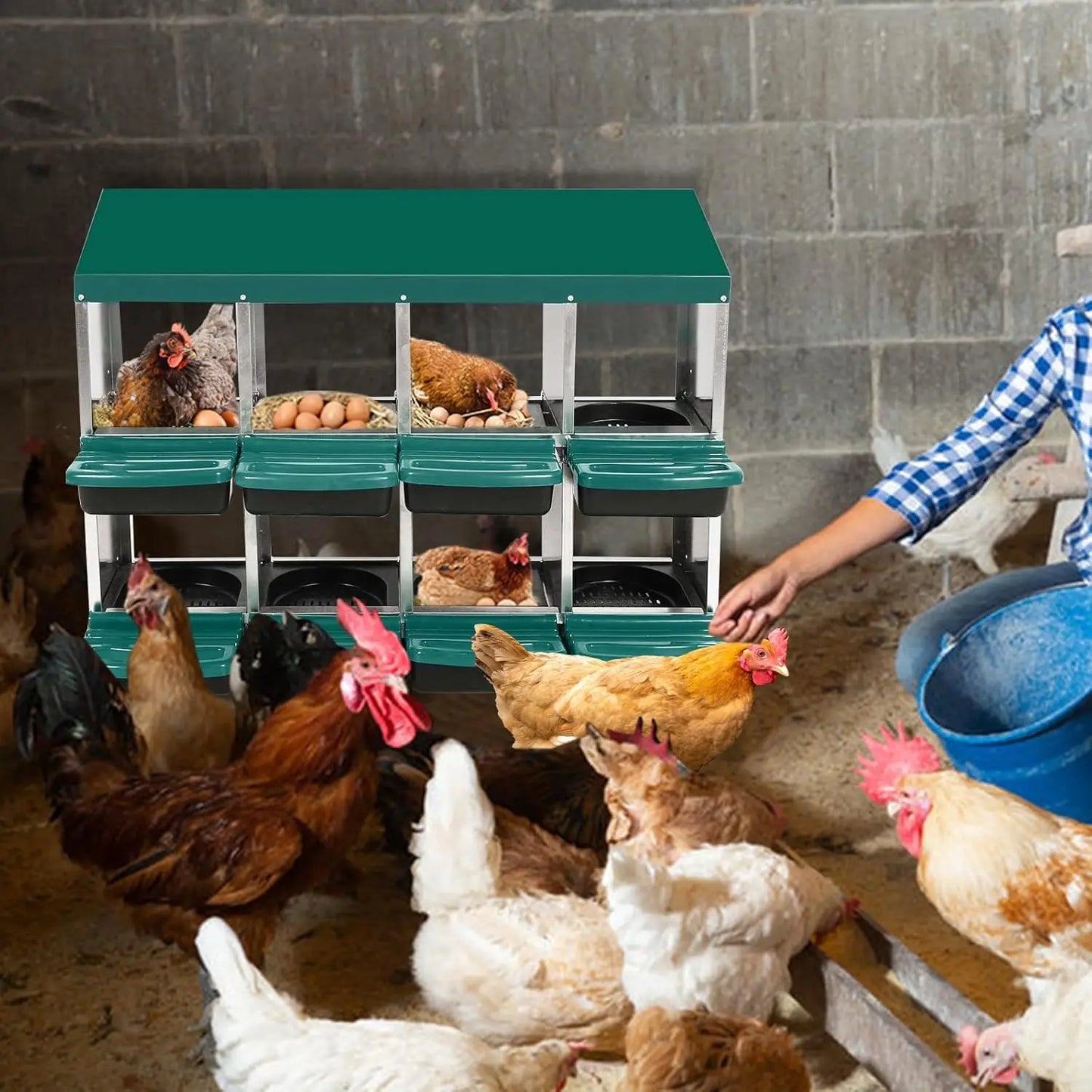 Hign-concerned Stainless Steel Chicken Nesting Box Roll Away Egg System