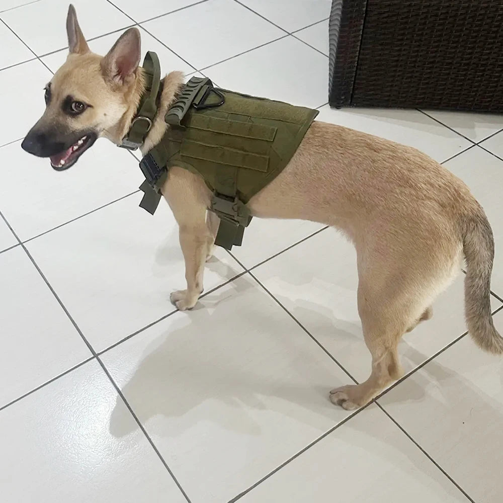 Adjustable Tactical Dog Harness and Nylon Collar Set