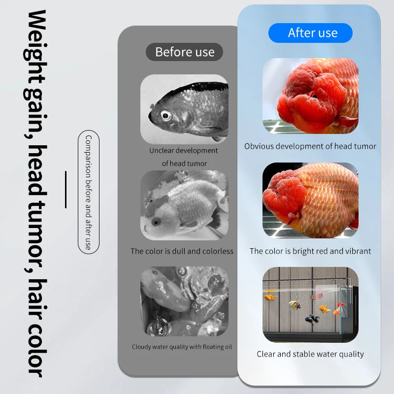 High-concerned Ranchu Lionhead Goldfish Sinking Pellet Feed