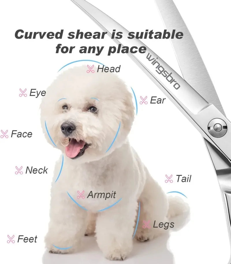 Professional Curved Dog Grooming Scissors in Stainless Steel for Pets