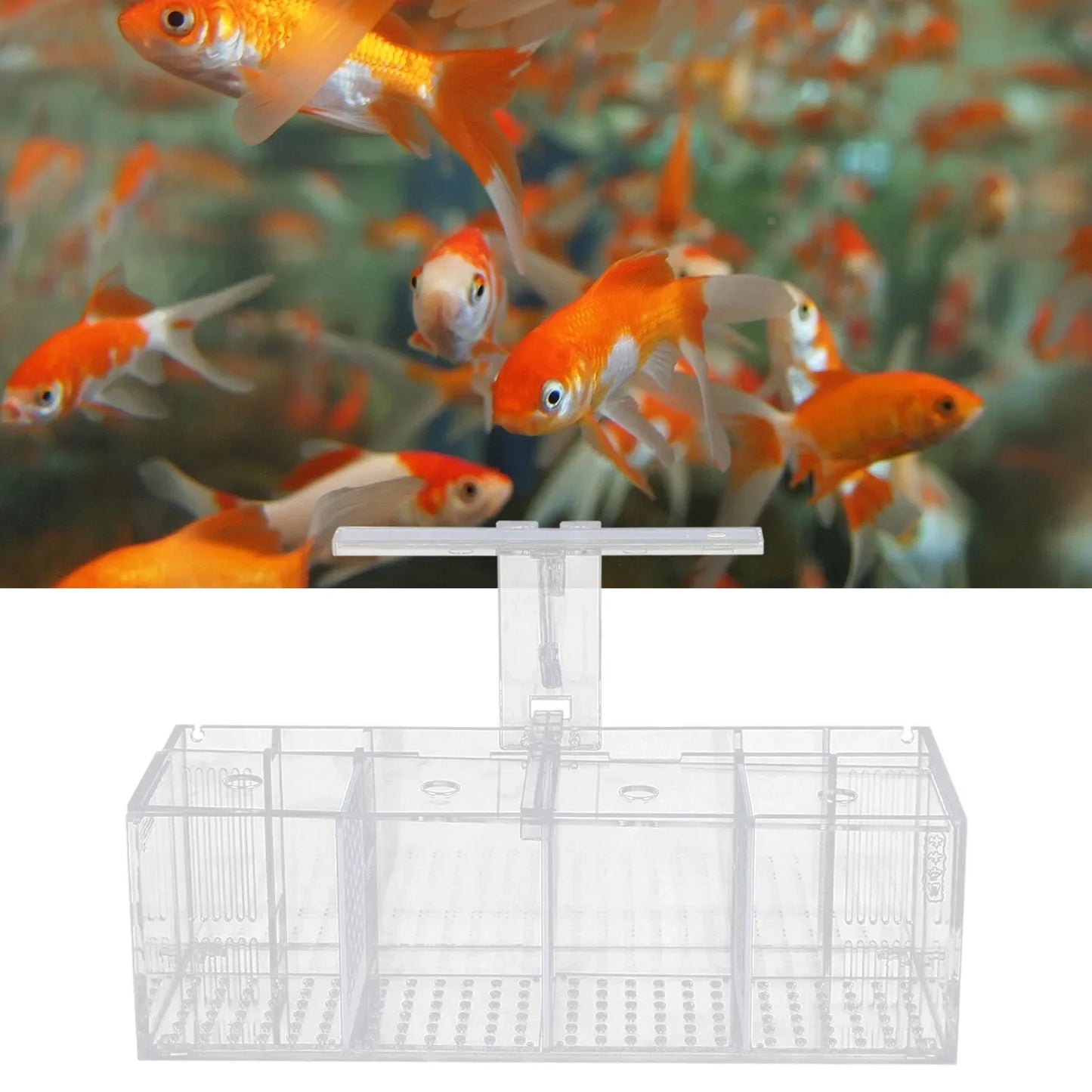 Hign-concerned USB Powered Desktop Aquaponic Betta Tank 4 Grid