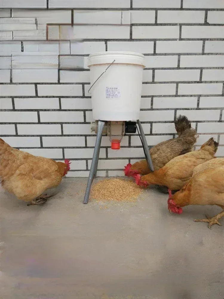 Automatic Poultry Feeder For Chicken Duck Pigeon With Timed Dispense