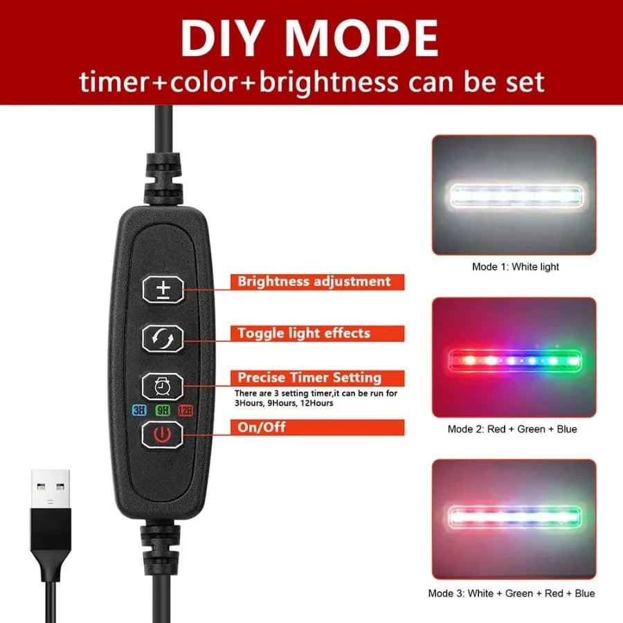 Hign Concerned Glass Betta Tank With Heater Filter LED