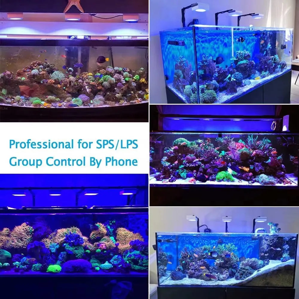 PopBloom RL90 WiFi Aquarium Light Full Spectrum Reef