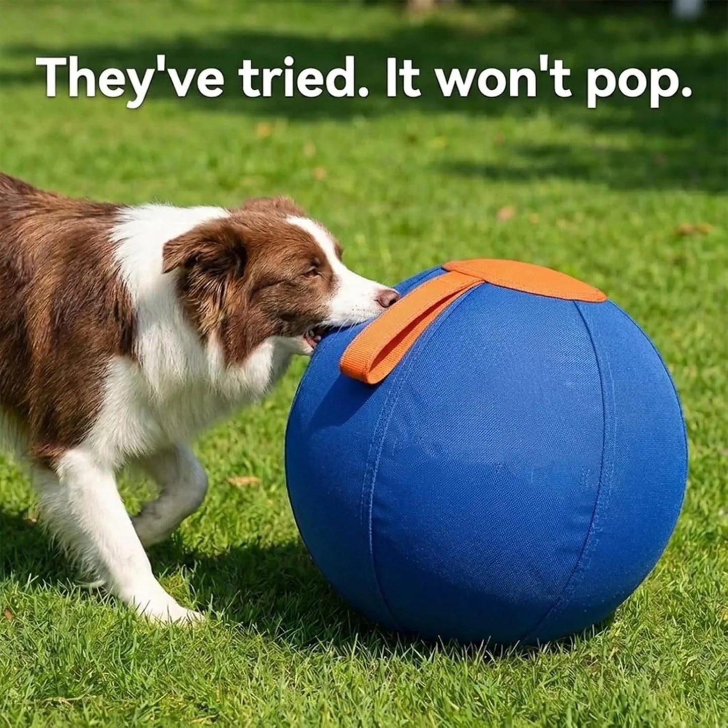 Herding Ball For Dogs Tear Resistant Enrichment Ball With Cover