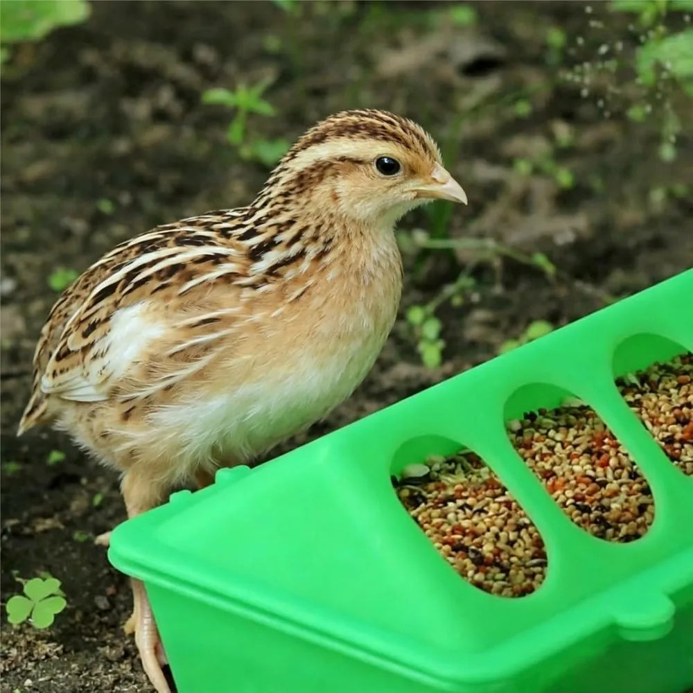 16 Hole Anti Waste Chicken Feeders 2Pack Plastic Poultry Feeders