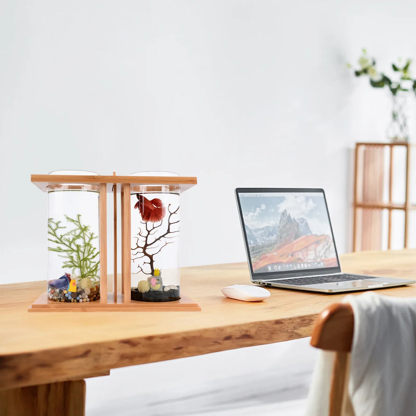 Bymaocar Glass Betta Tank With Bamboo Base Desktop