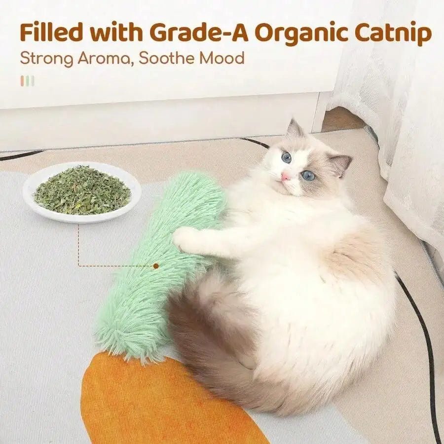 Catnip Plush Toys Set 3 Pack With Crinkle Sound And Interactive Indoor Toy