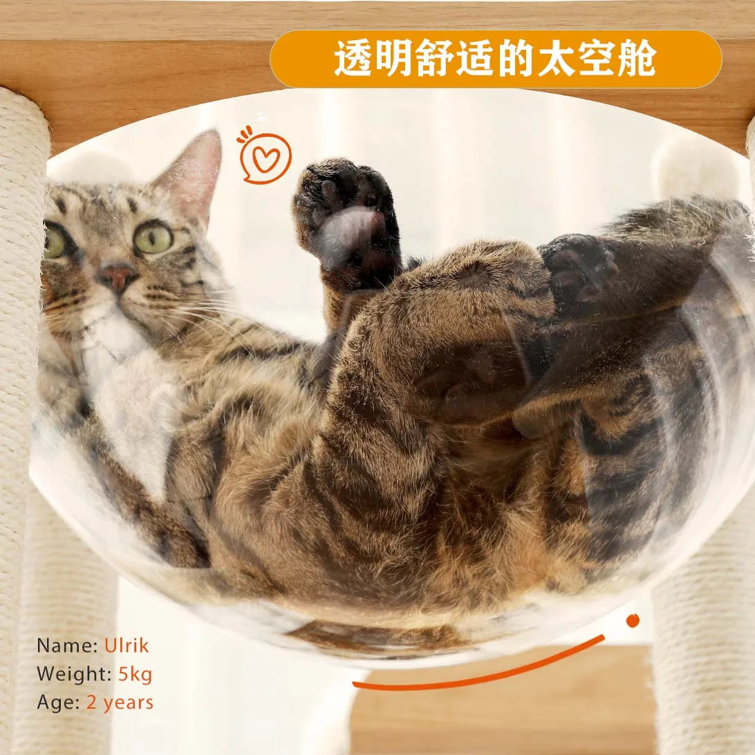 PAWZ Road Modern Cat Tree With Scratch Post For Large Cats