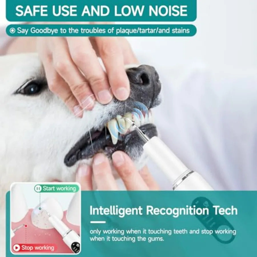 Dog Teeth Cleaning Kit With LED Light Electric Toothbrush