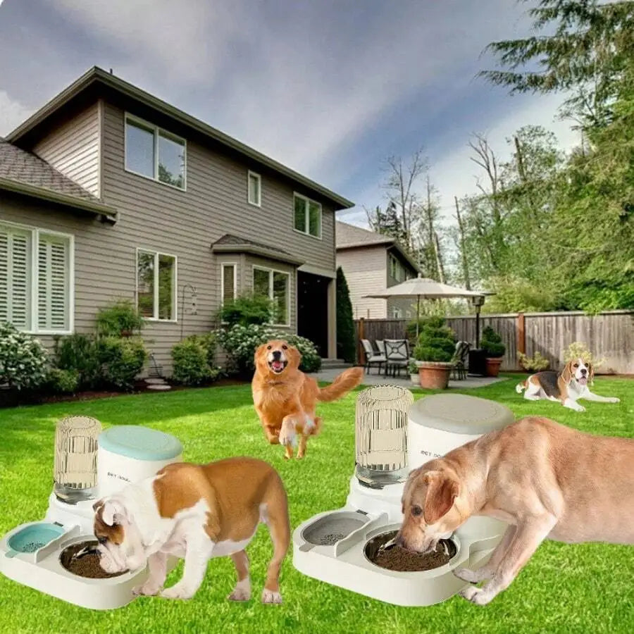 Two In One Automatic Cat Water Dispenser And Feeding Station