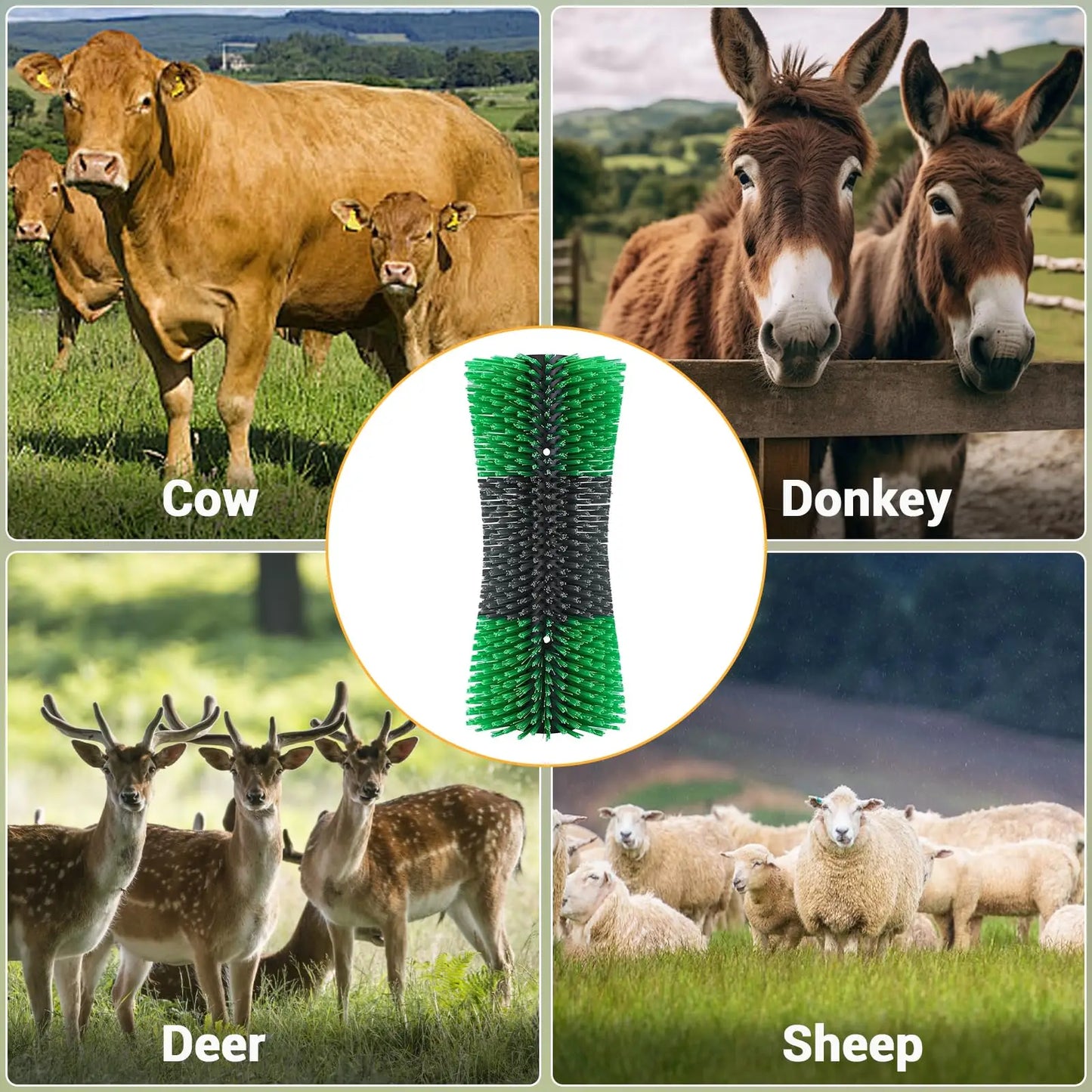 Hign-concerned Horse Hair Brush Kit For Horse Grooming