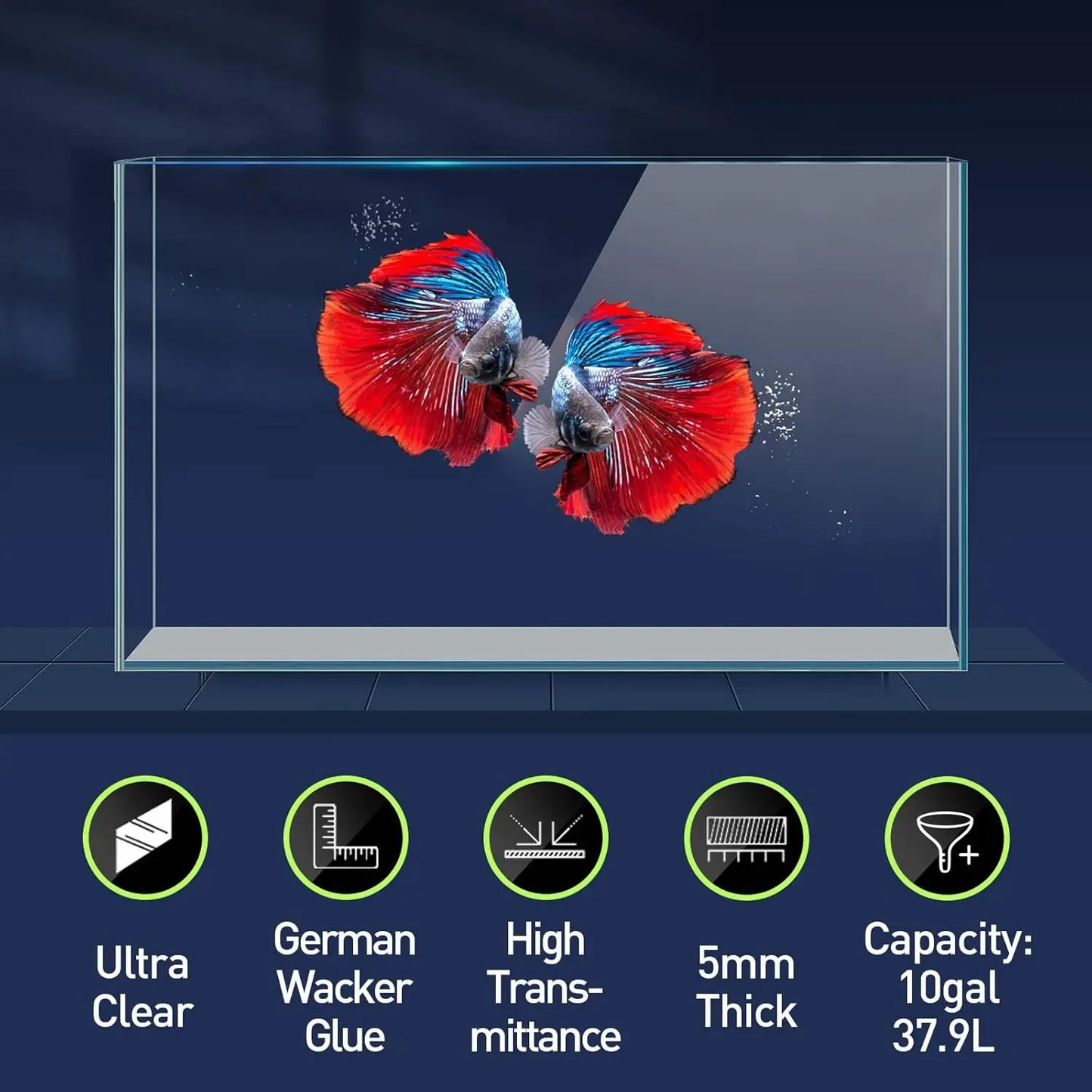 Ultra Clear Rimless Glass Aquarium With Cover Feeding Ring Cleaning Tools
