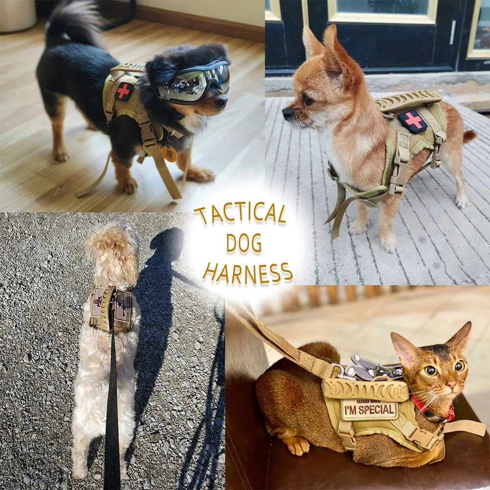 Tactical Puppy Harness Leash Set For Small Dogs Training Kit