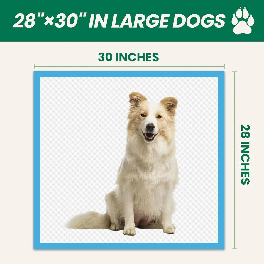 Hign-concerned 100 Count Pee Pads for Dogs and Puppies