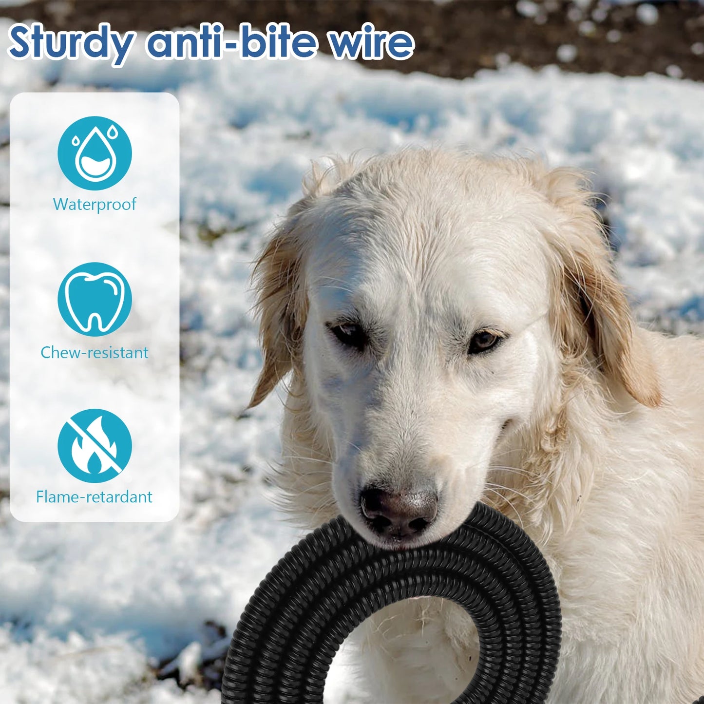 Outdoor Heated Pet Water Bowl AntiFreeze For Cats And Dogs
