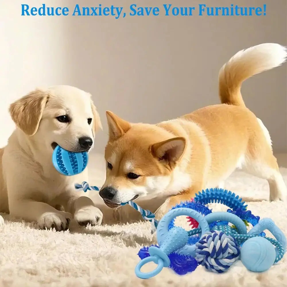 Puppy Chew Toys Bundle For Small Dogs 20 Pack Rubber