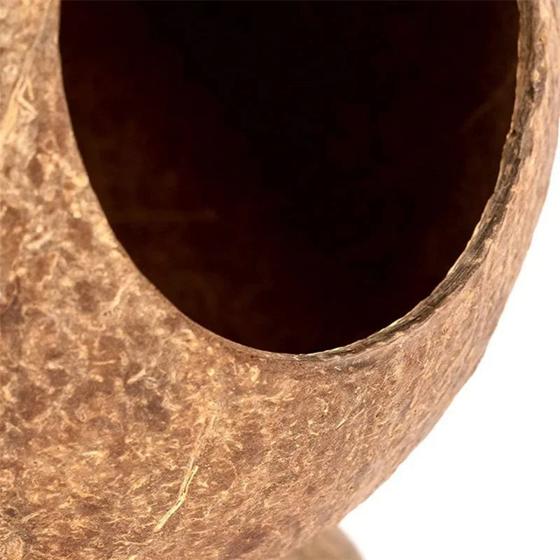 Zhejiang Hamster House Bite Resistant Natural Wooden Hideout