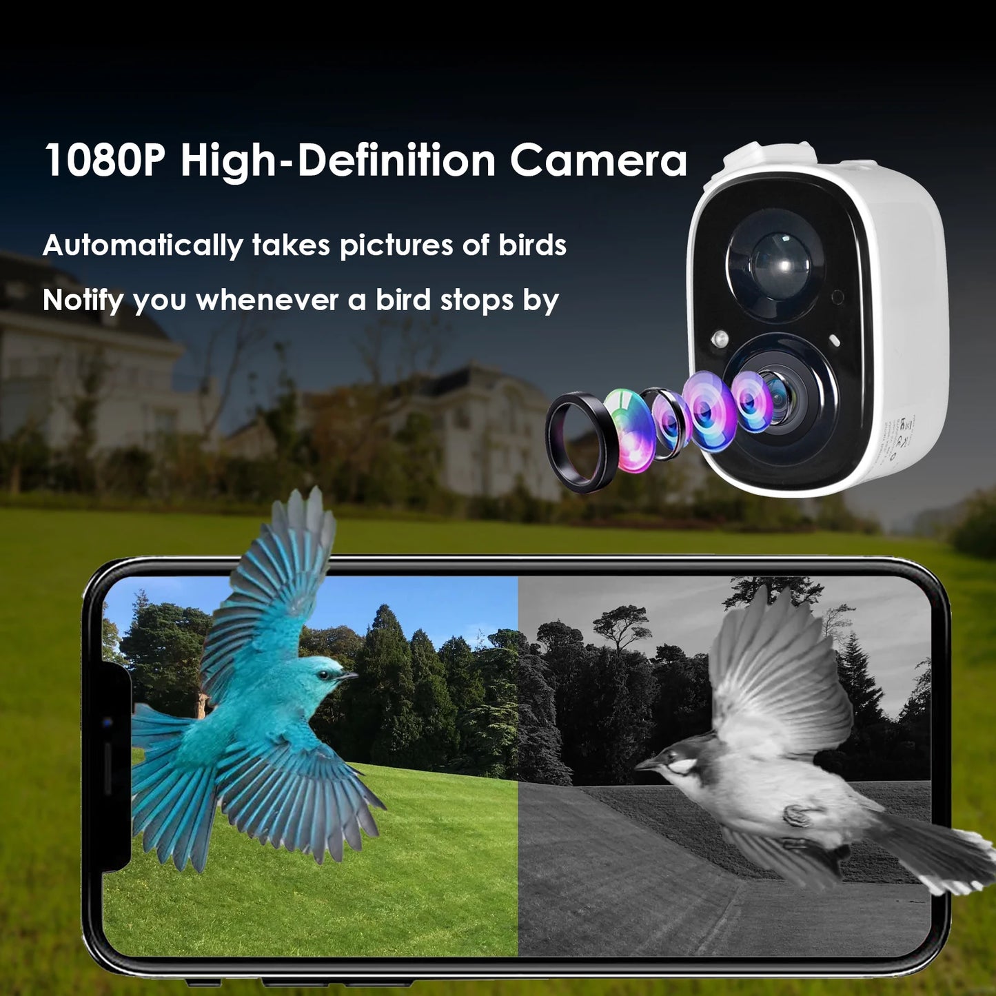 Hign-concerned Smart Bird Feeder With Camera Outdoor Feeding House Solar-Powered