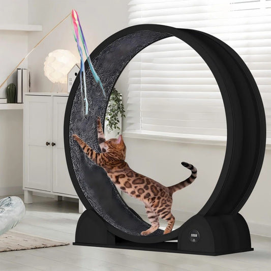 HiMISS Cat Exercise Wheel Indoor Running Treadmill With Smart Pedometer