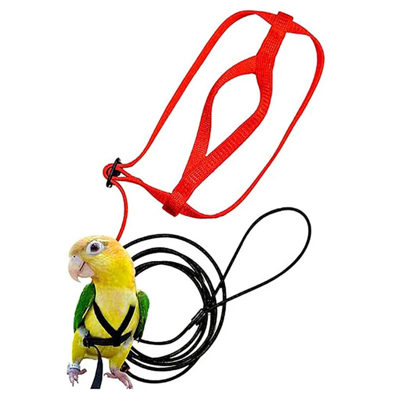 Training Flying Traction Rope Bird Leash Parrot Harness