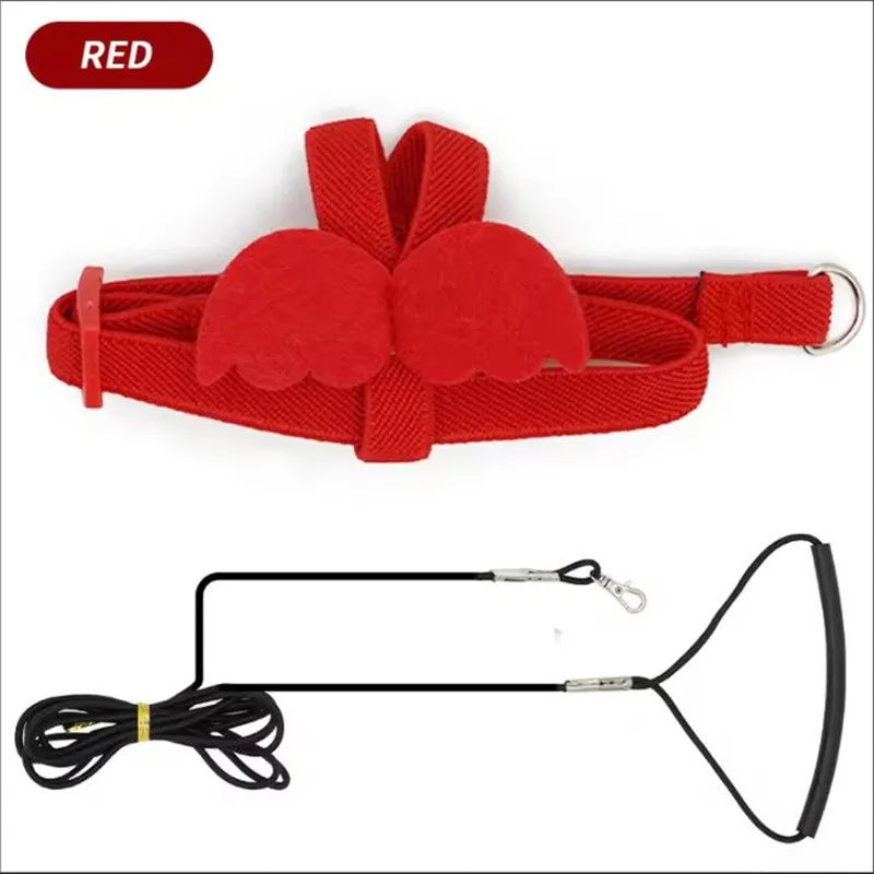 NONECN Parrot Harness Leash Set For Cockatiels Outdoor Flying