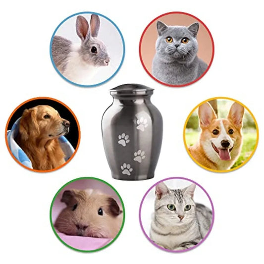 Memorial Pet Cremation Urn For Dogs And Cats Paws Engraved