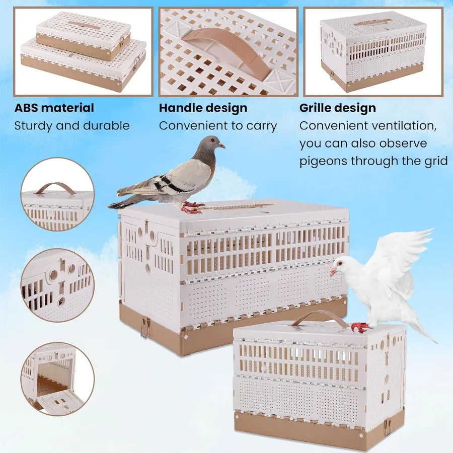 CN Guangdong Plastic Foldable Pigeon Cage With Handle Travel Carrier
