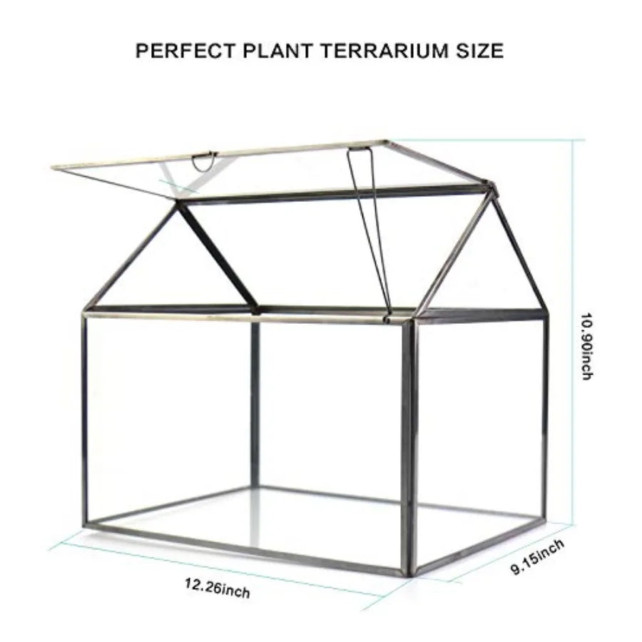 Glass Plant Terrarium For Indoor Succulents With Base