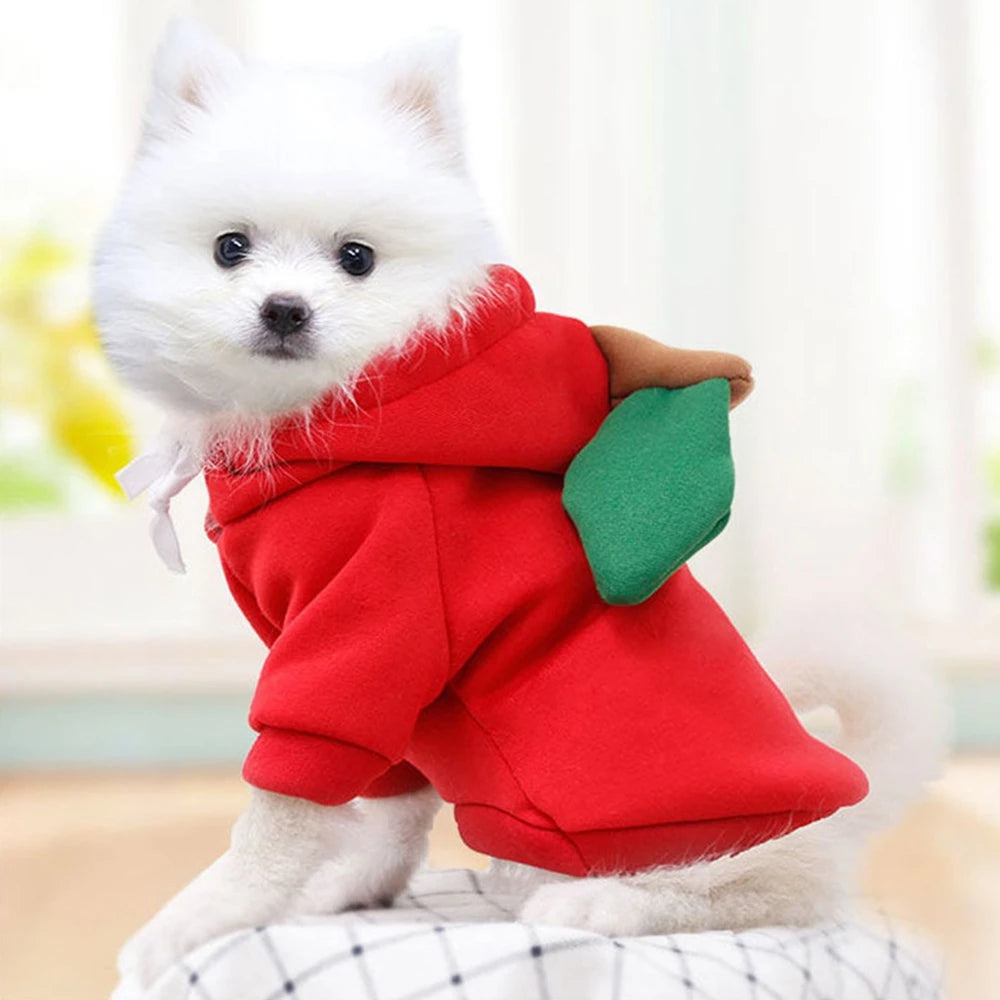 Fruit Print Dog Hoodie Fleece Coat for Pets Winter Apparel