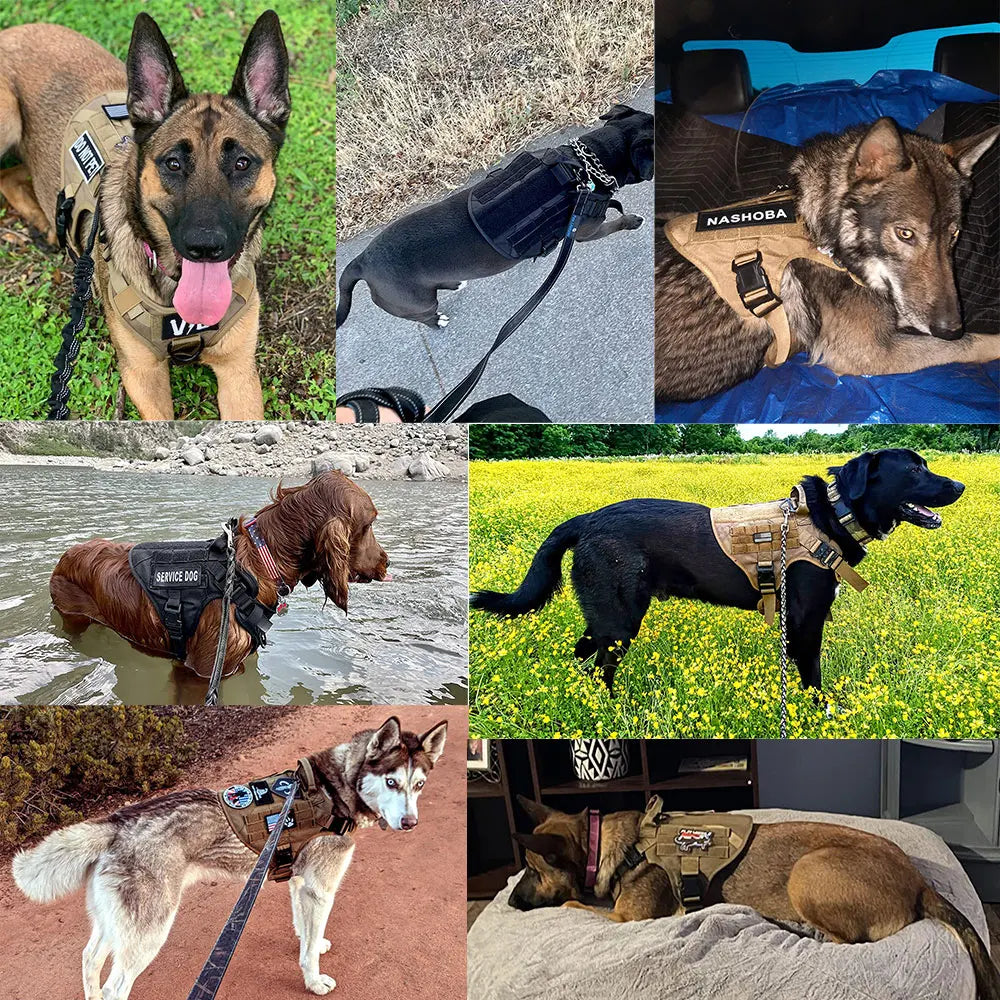 Petravel Military Dog Harness Vest Kit With Leash And Patches