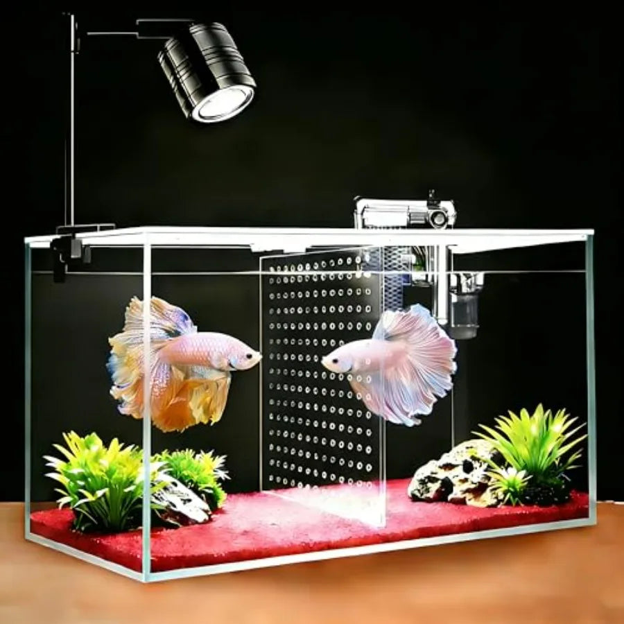 Fish Tank Aquarium Starter Kit With Filter And LED