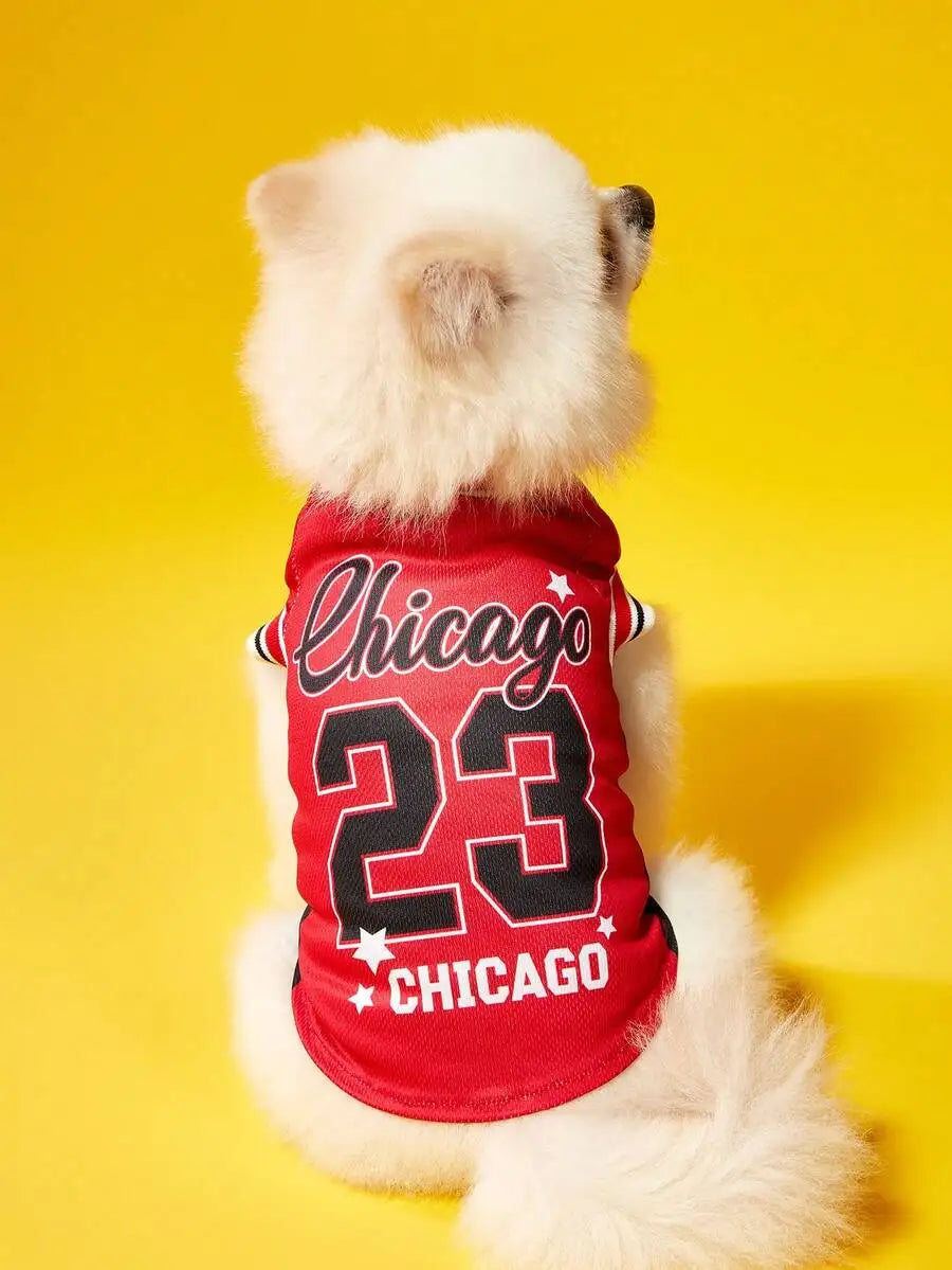 Mexican National Team Style Pet Jersey With Striped English Number Print
