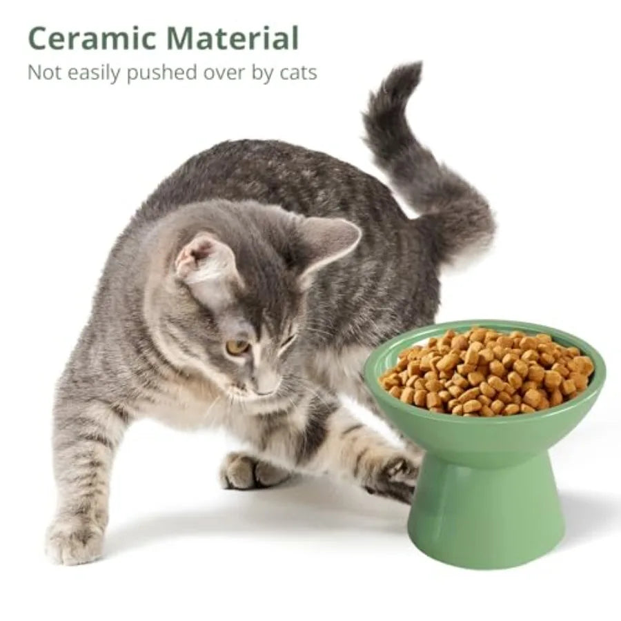 Elevated Cat Bowls Set Of 2 Indoor Cat Whisker Fatigue