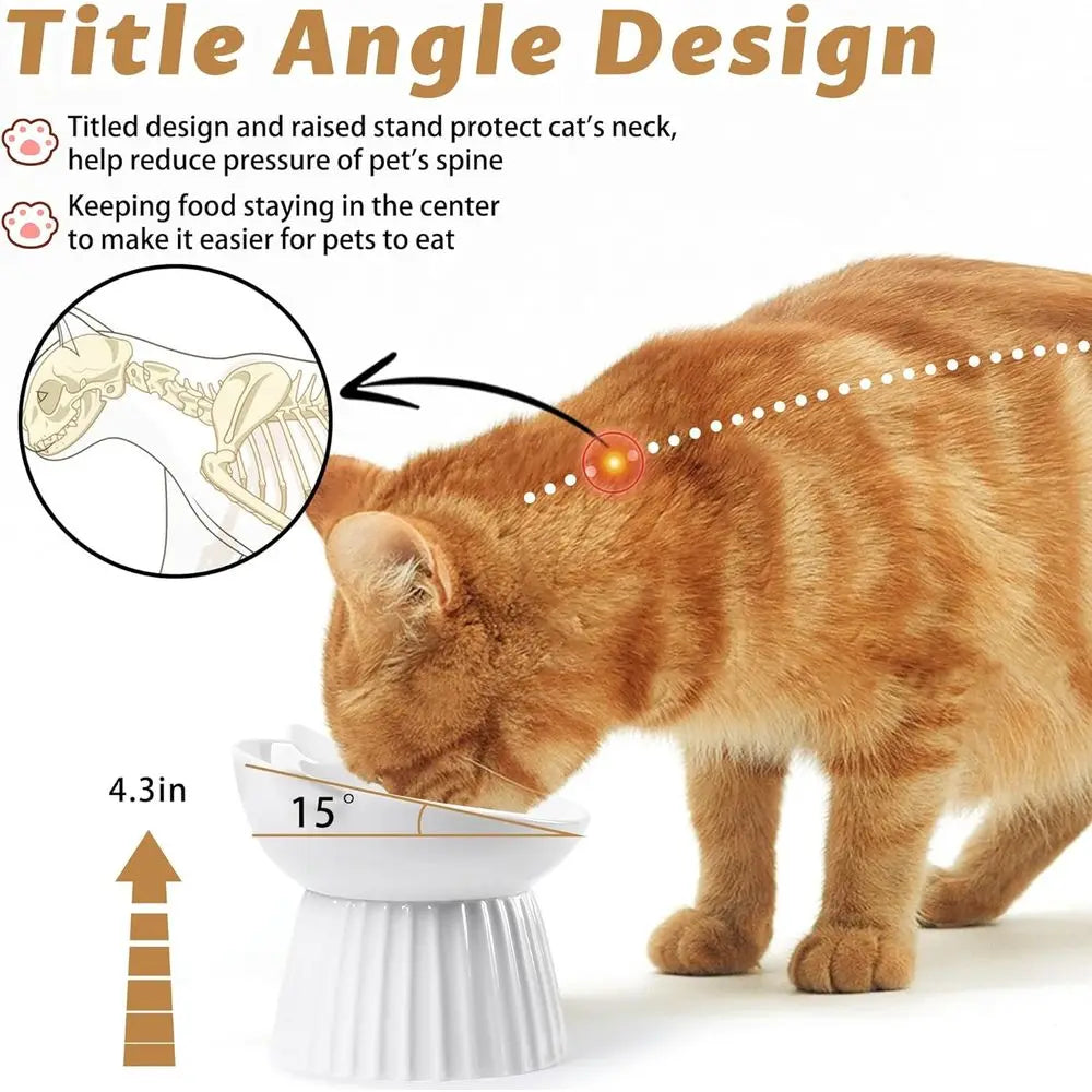 Raised Cat Bowl For Indoor Cats Anti Vomit Easy Clean