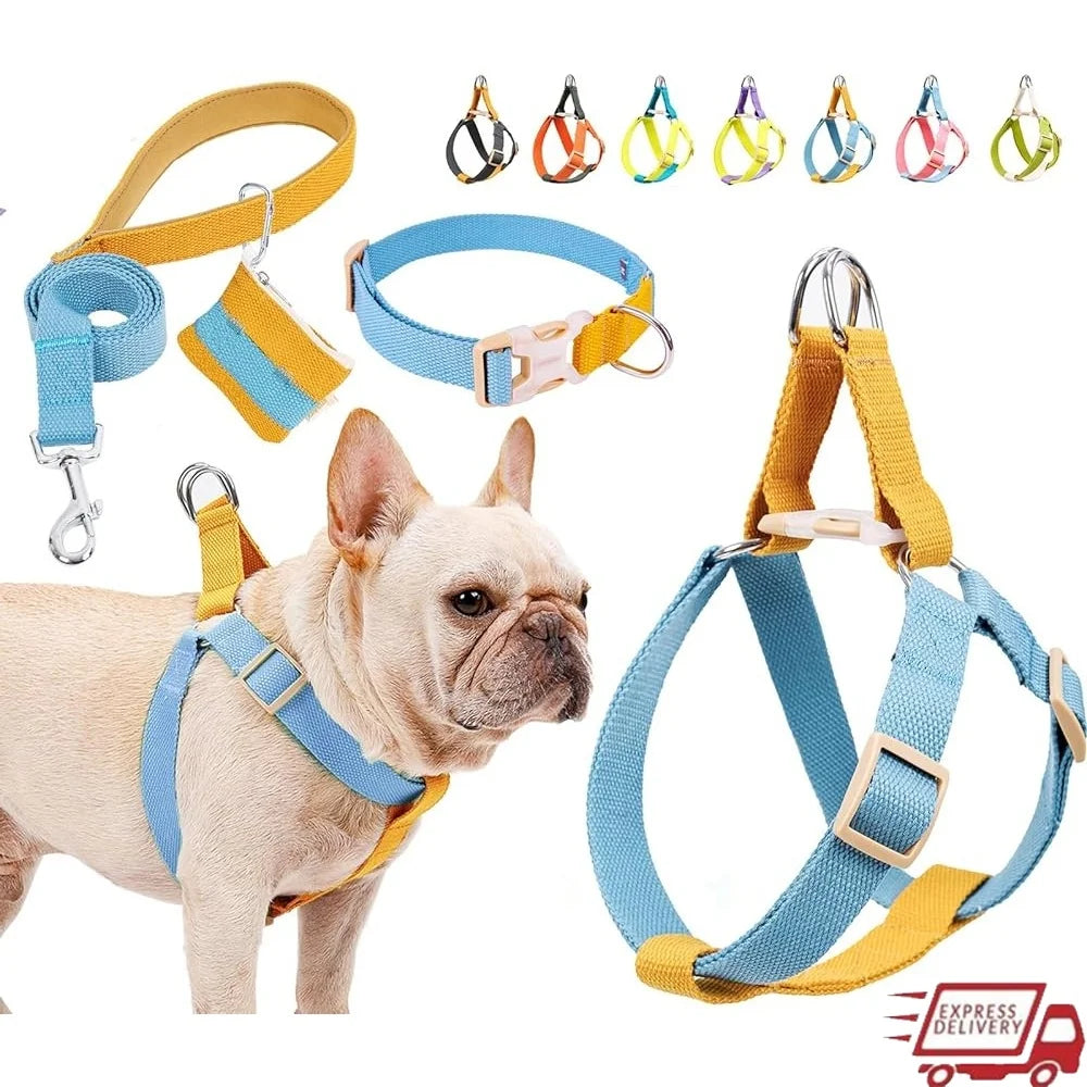 XMSJ No Pull Dog Harness Set With Leash Poop Bag