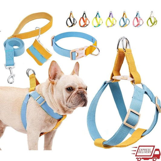 XMSJ No Pull Dog Harness Set With Leash Poop Bag