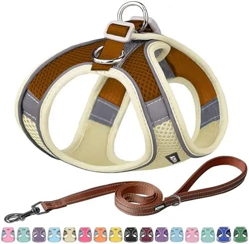 YTYIN Adjustable Dog Harness And Leash Set With Padded Vest