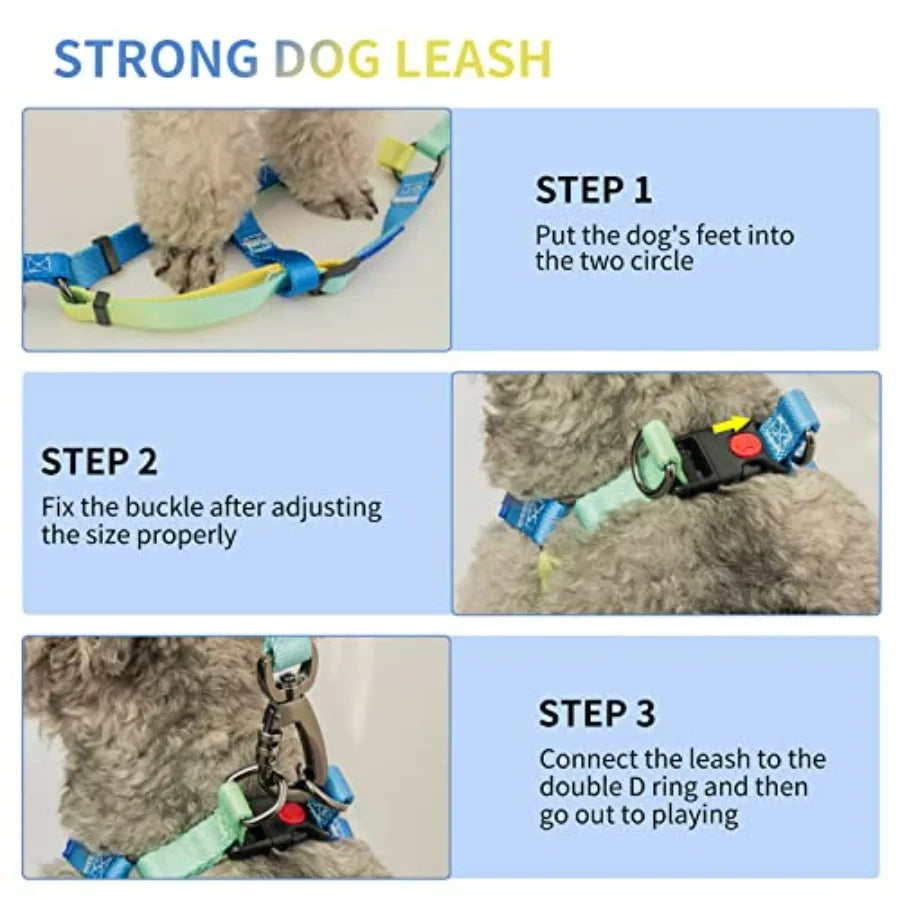 No Pull Dog Harness And Leash Set With Adjustable Collar