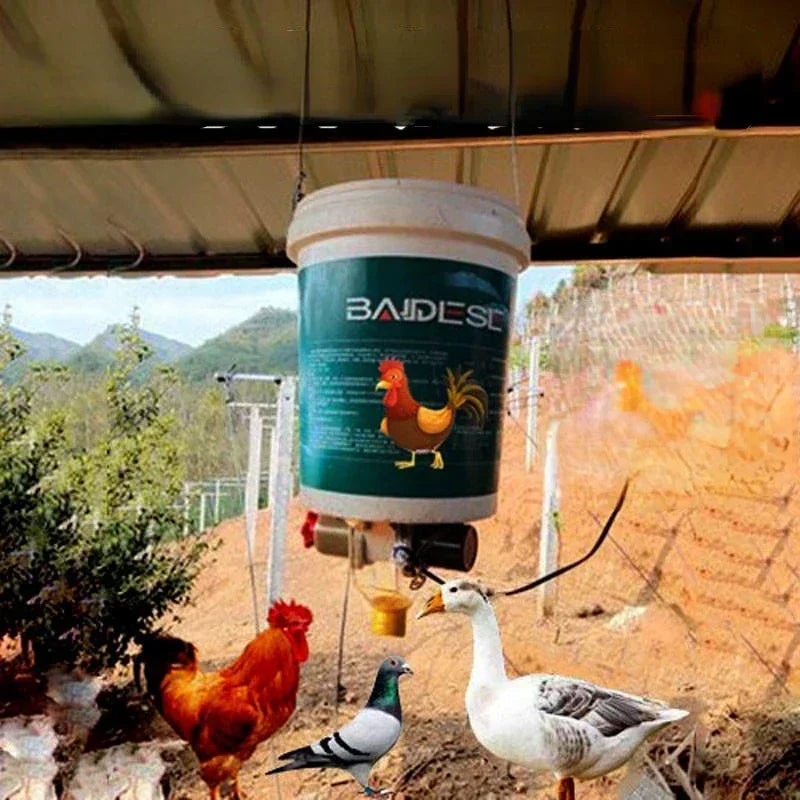 Automatic Poultry Feeder For Chicken Duck Pigeon With Timed Dispense