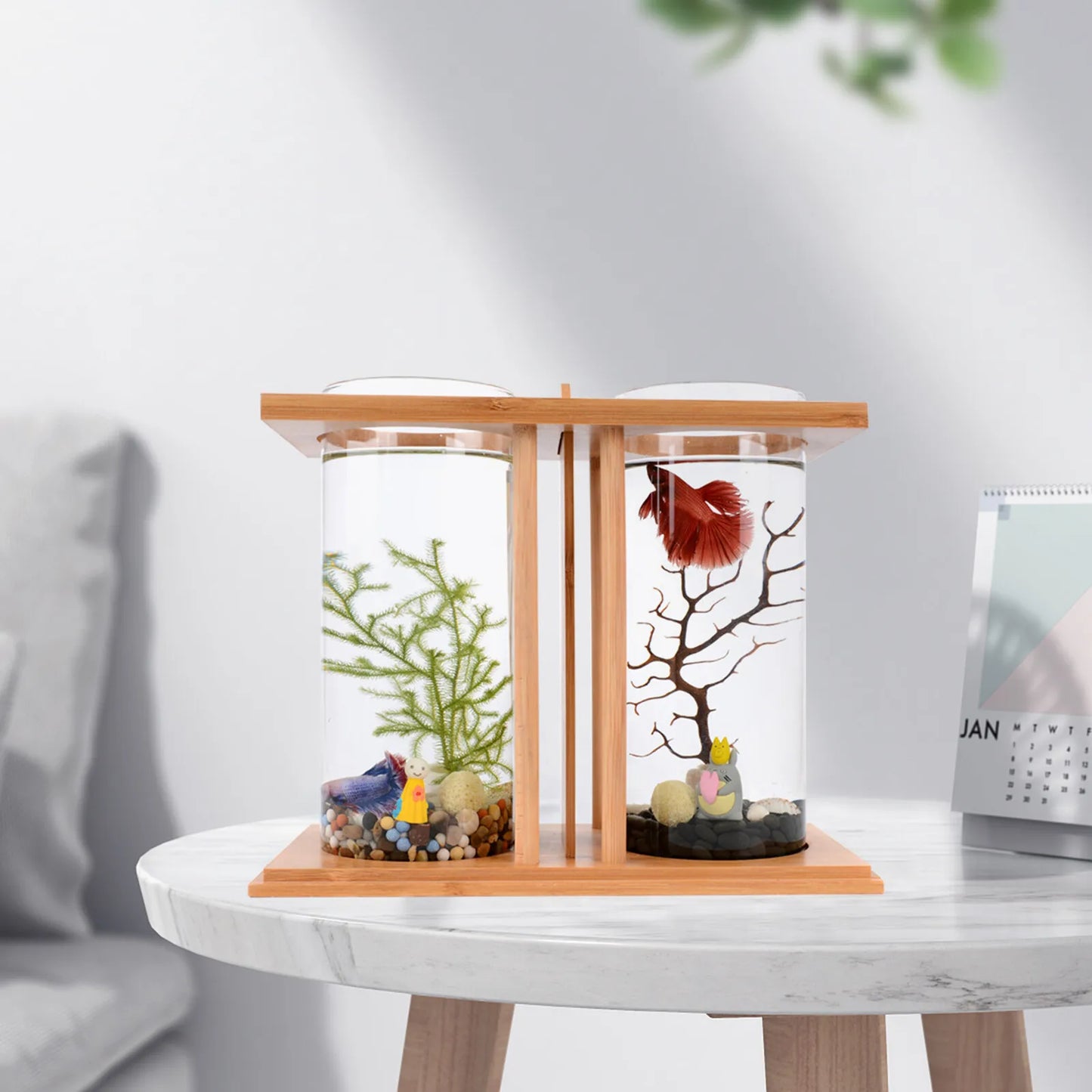 Bymaocar Glass Betta Tank With Bamboo Base Desktop