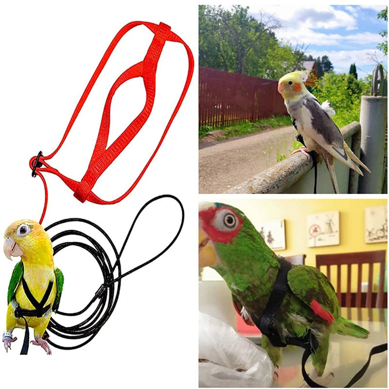 Training Flying Traction Rope Bird Leash Parrot Harness