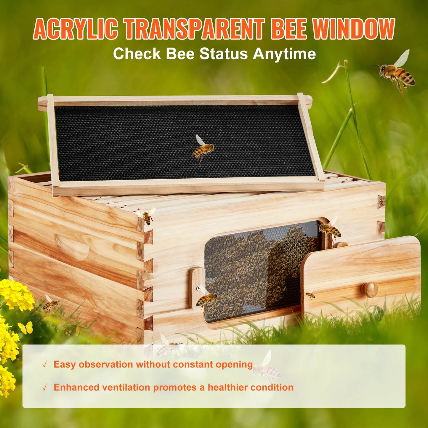 SucceBuy Natural Cedar Wood Langstroth Beehive Kit With Acrylic Windows